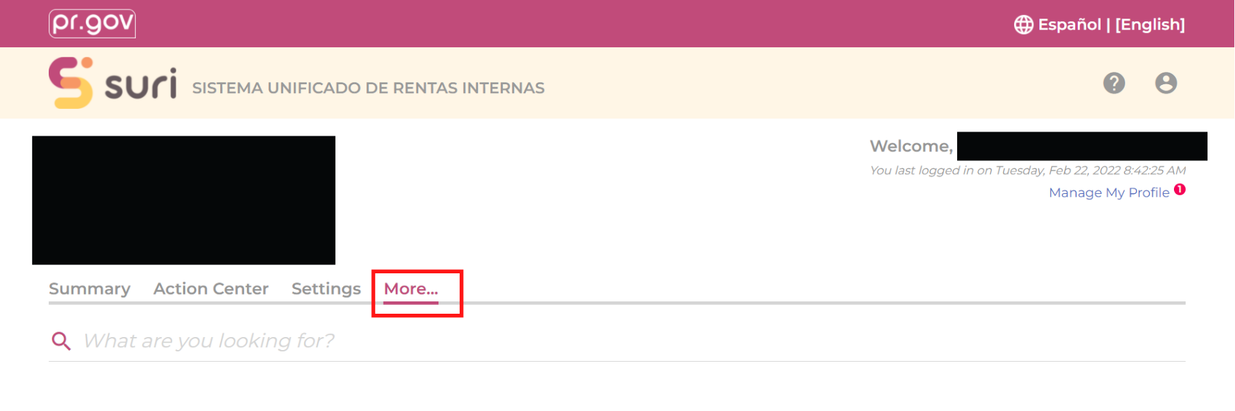 _Gracias__-_Newsletter__58_.png